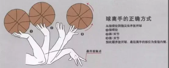 如何制定智能篮球训练计划_0